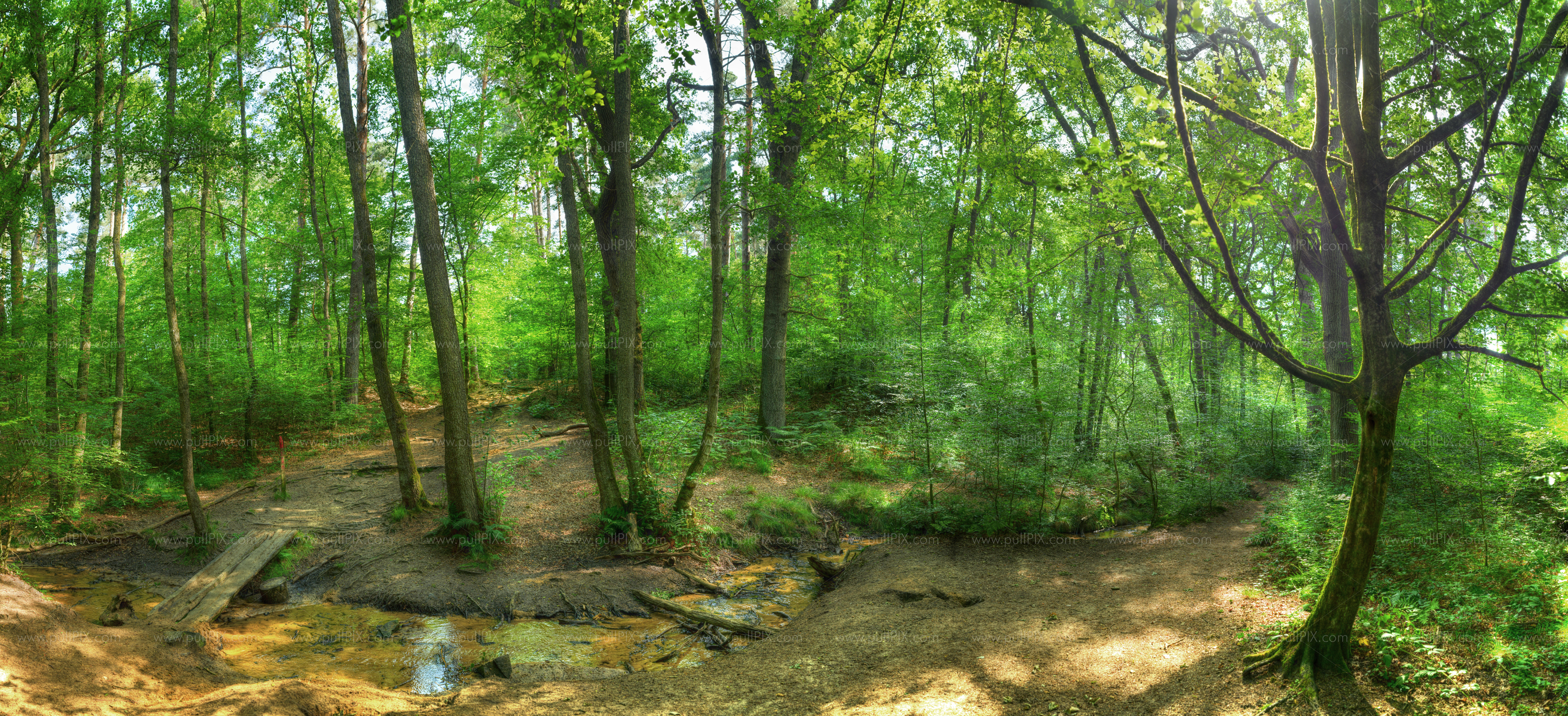 Preview waldbach mit holzbruecke_hdr.jpg